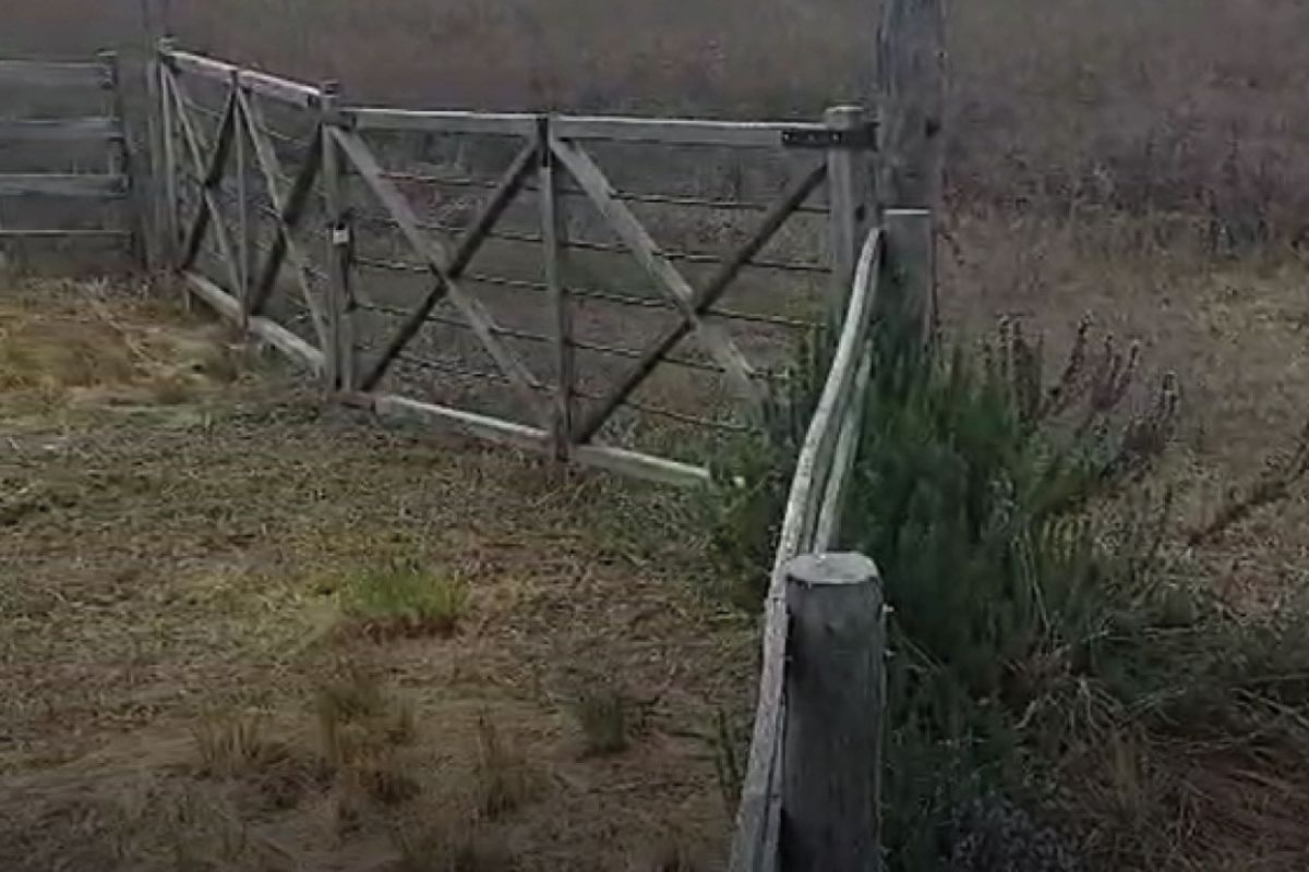 Terreno de 5 hectáreas en Estancia Grande